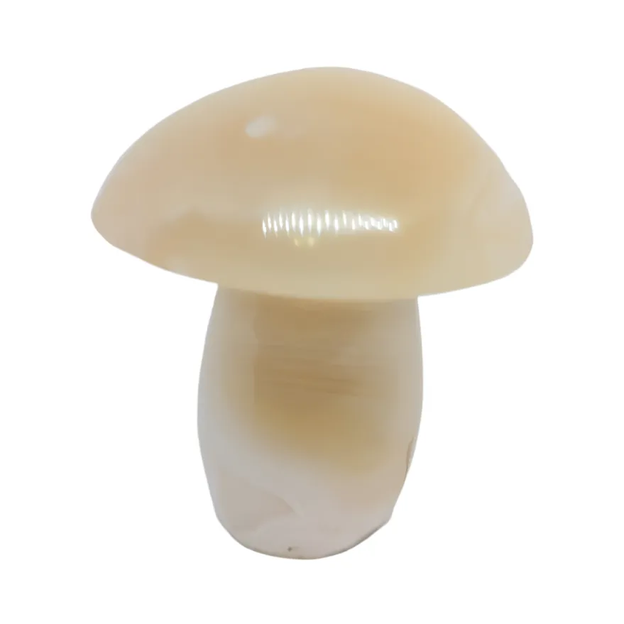 Agate Crystal Mushroom Carving