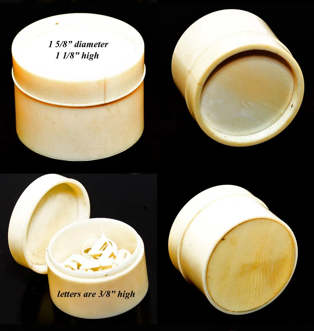 Antique Carved c.1800s Ivory Box with Carved Ivory Alphabet Inside, Curiosity or Toy
