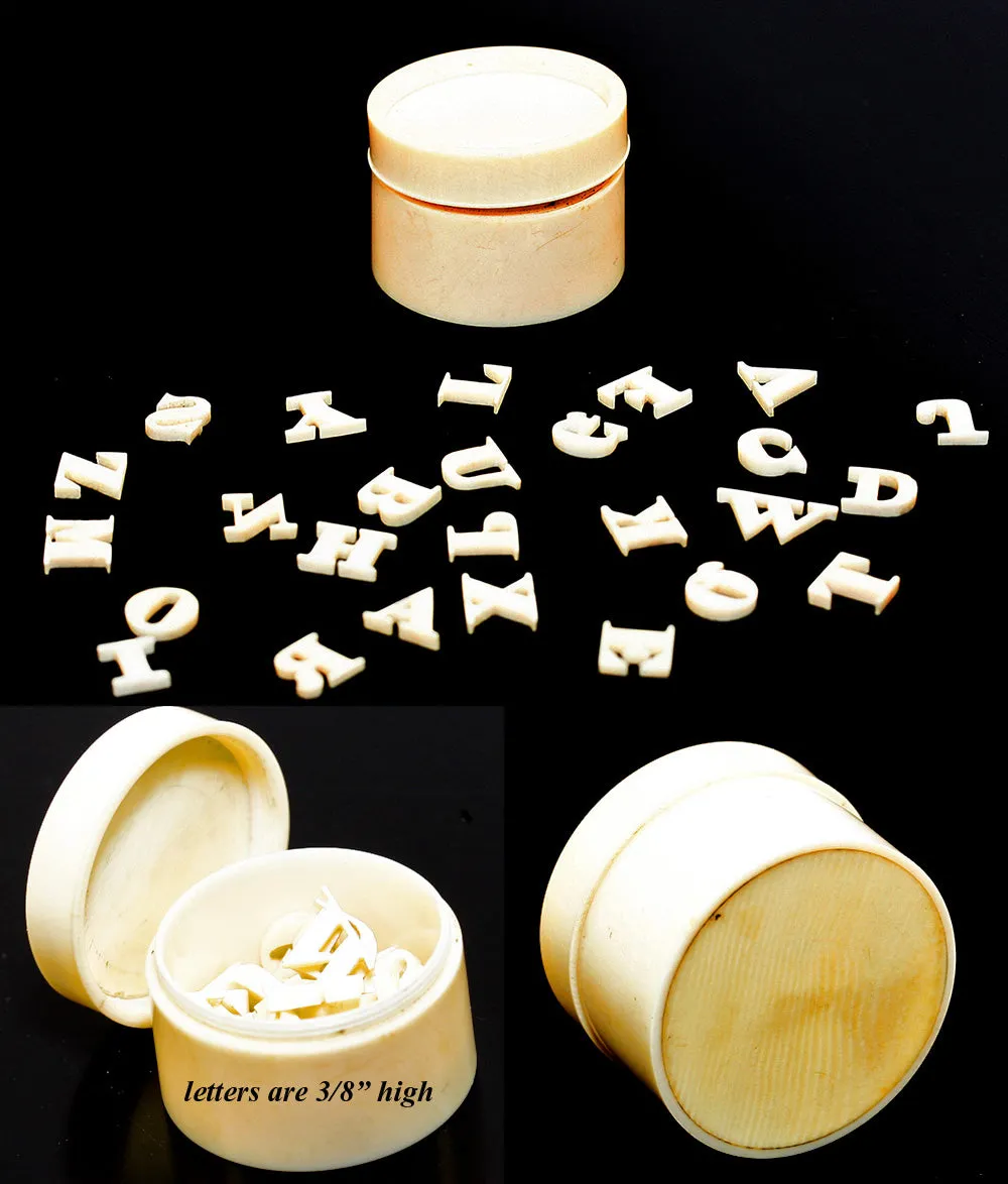 Antique Carved c.1800s Ivory Box with Carved Ivory Alphabet Inside, Curiosity or Toy