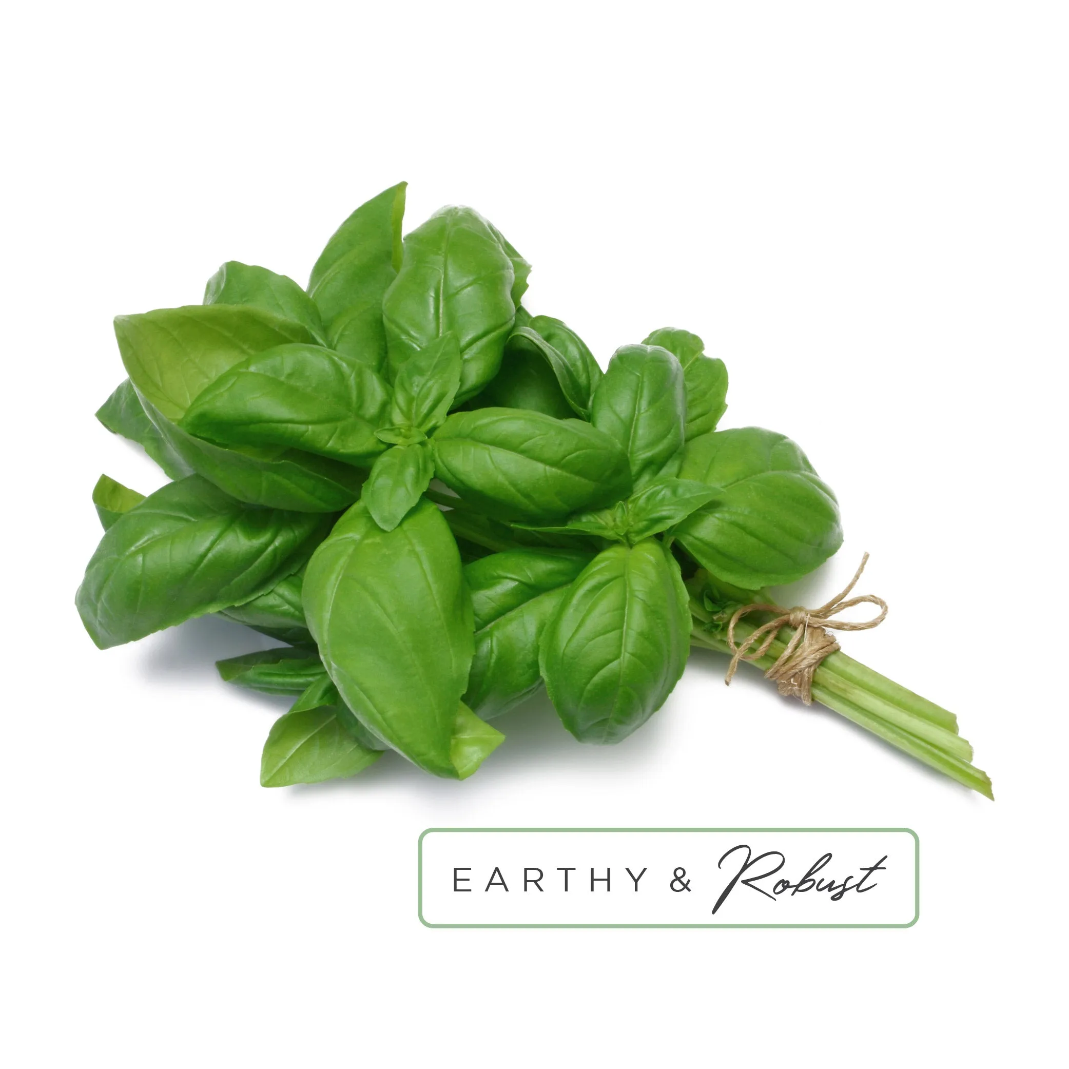Bathtub Tea™ in Energize