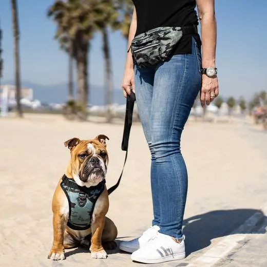 Canada Pooch Treat Pouch Fanny Pack - Green Camp
