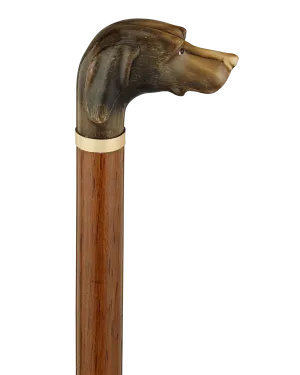 Carved Horn Dog Knob Cane