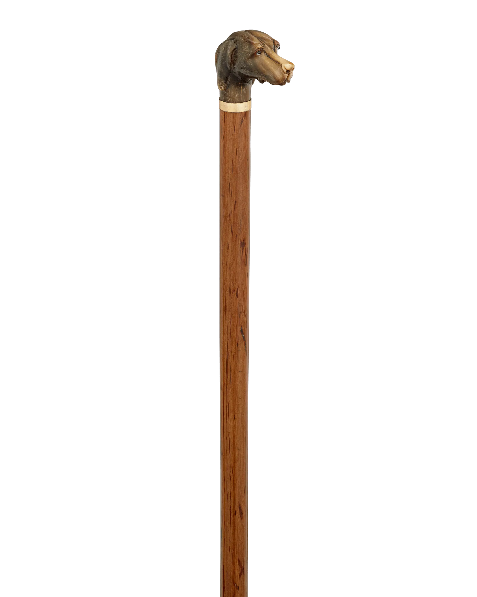Carved Horn Dog Knob Cane