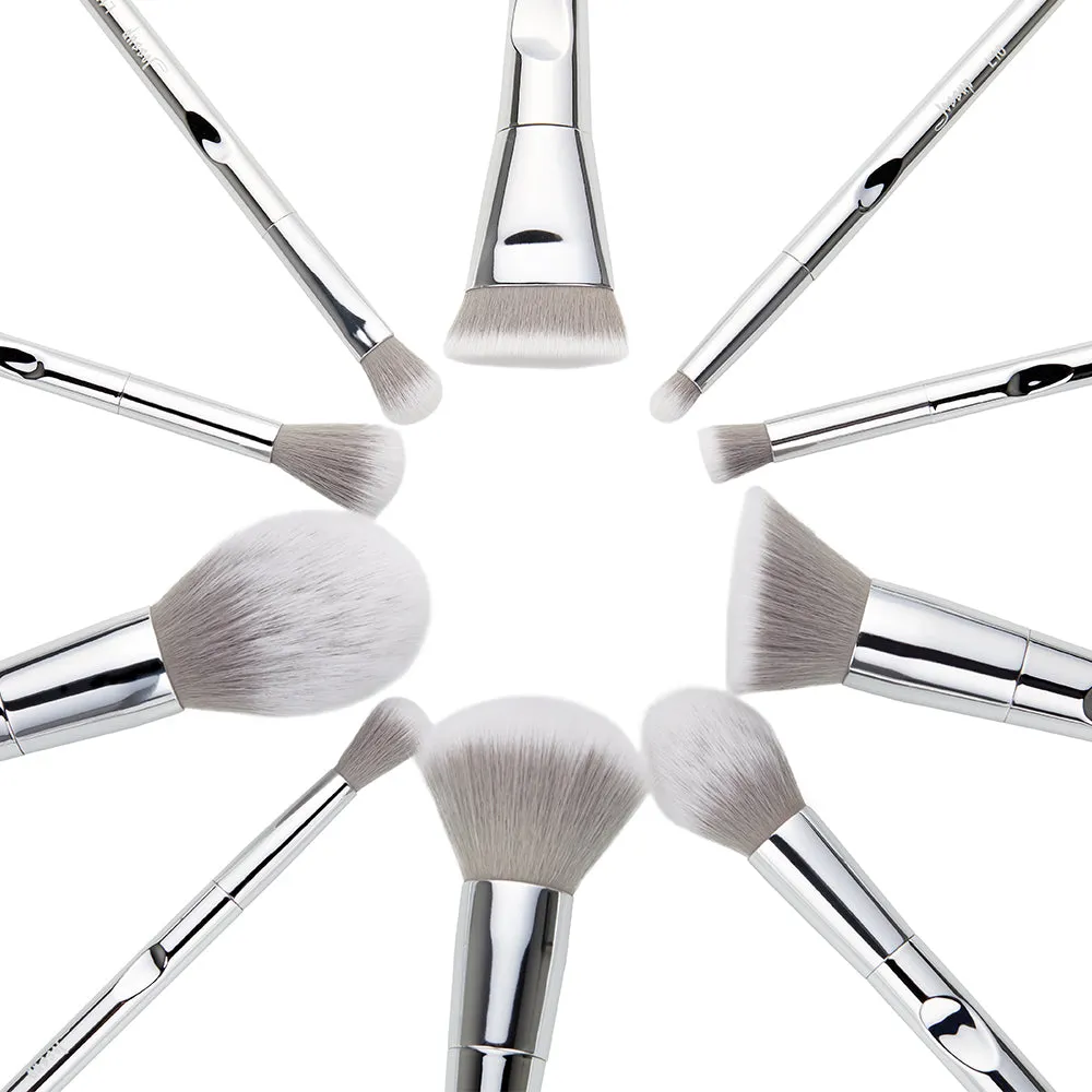 Luxury 10 Pcs Makeup Brush Set T261 CB007