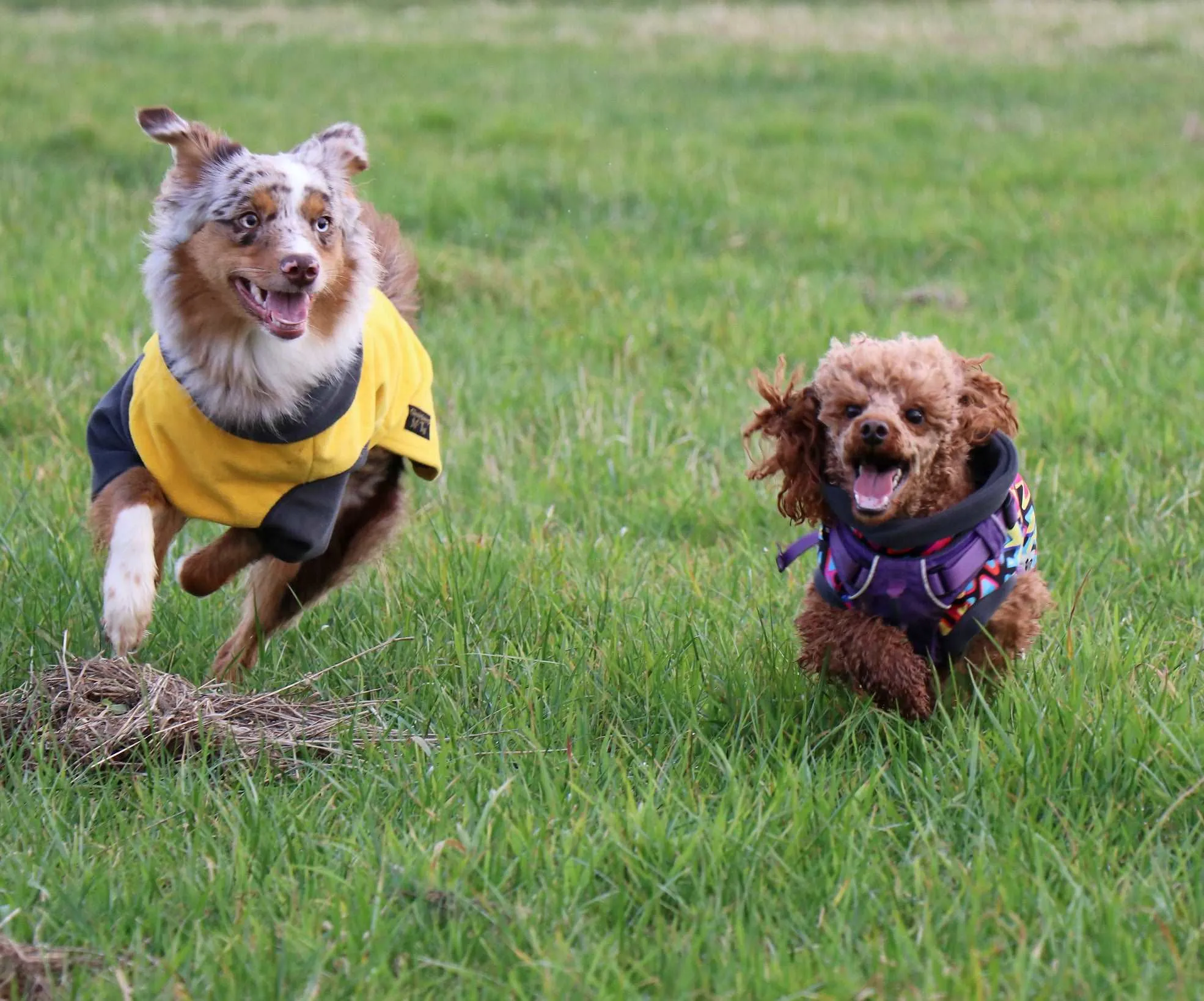 Midnight Sun Waterproof Microfleece McTog Dog Jumper - With Sleeves