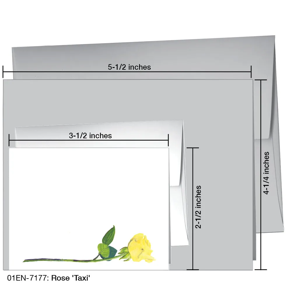 Rose 'Taxi', Greeting Card (7177)