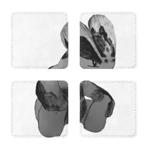 Shamrock Sublimation Coasters Pack of Four