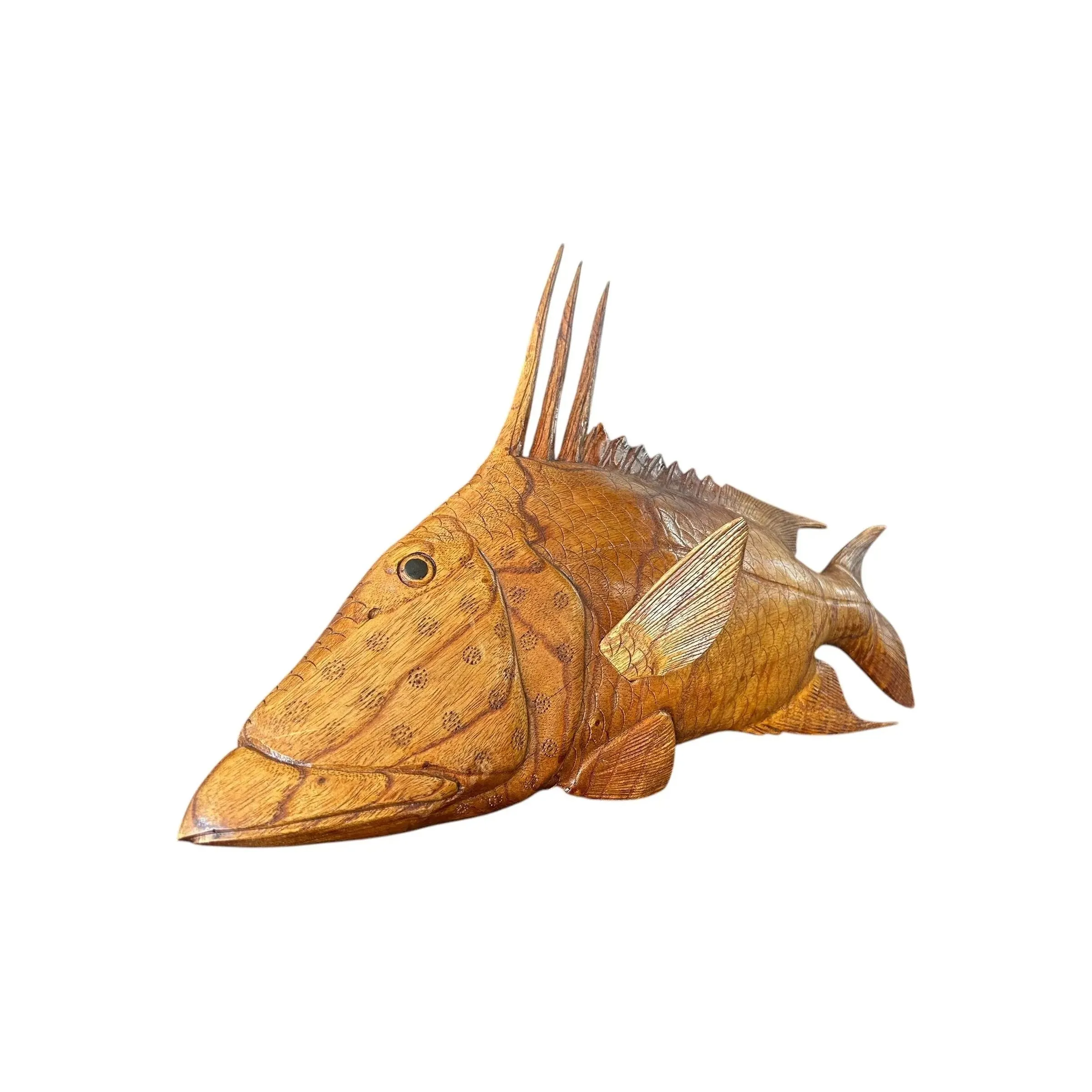 Teak Hogfish