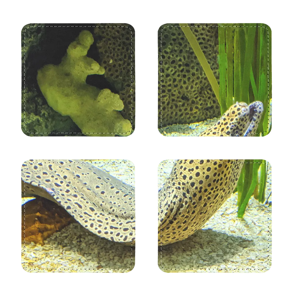 Yellow Eel Sublimation Coasters Pack of Four