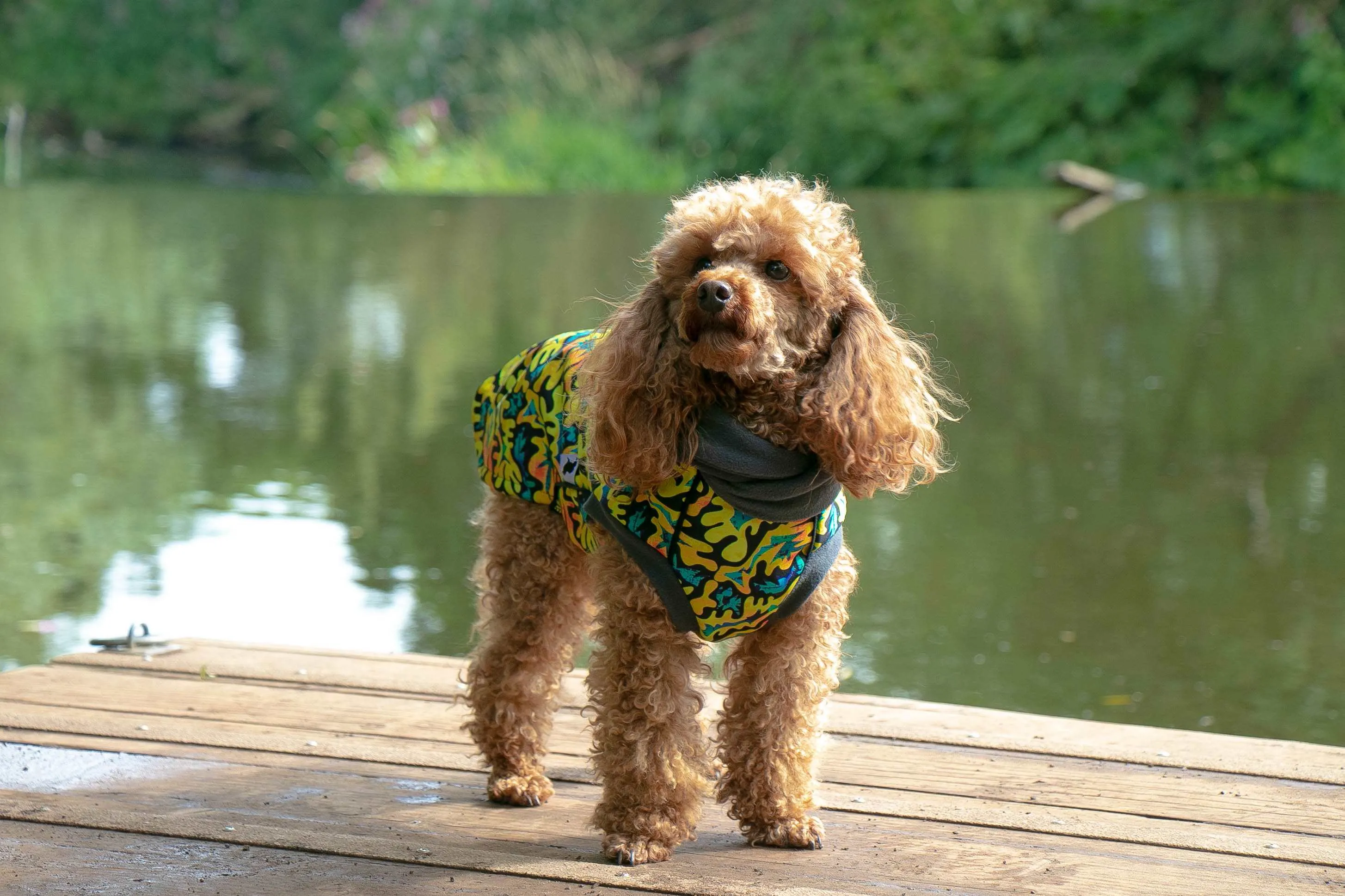 Zulu Waterproof Microfleece McTog Dog Jumper