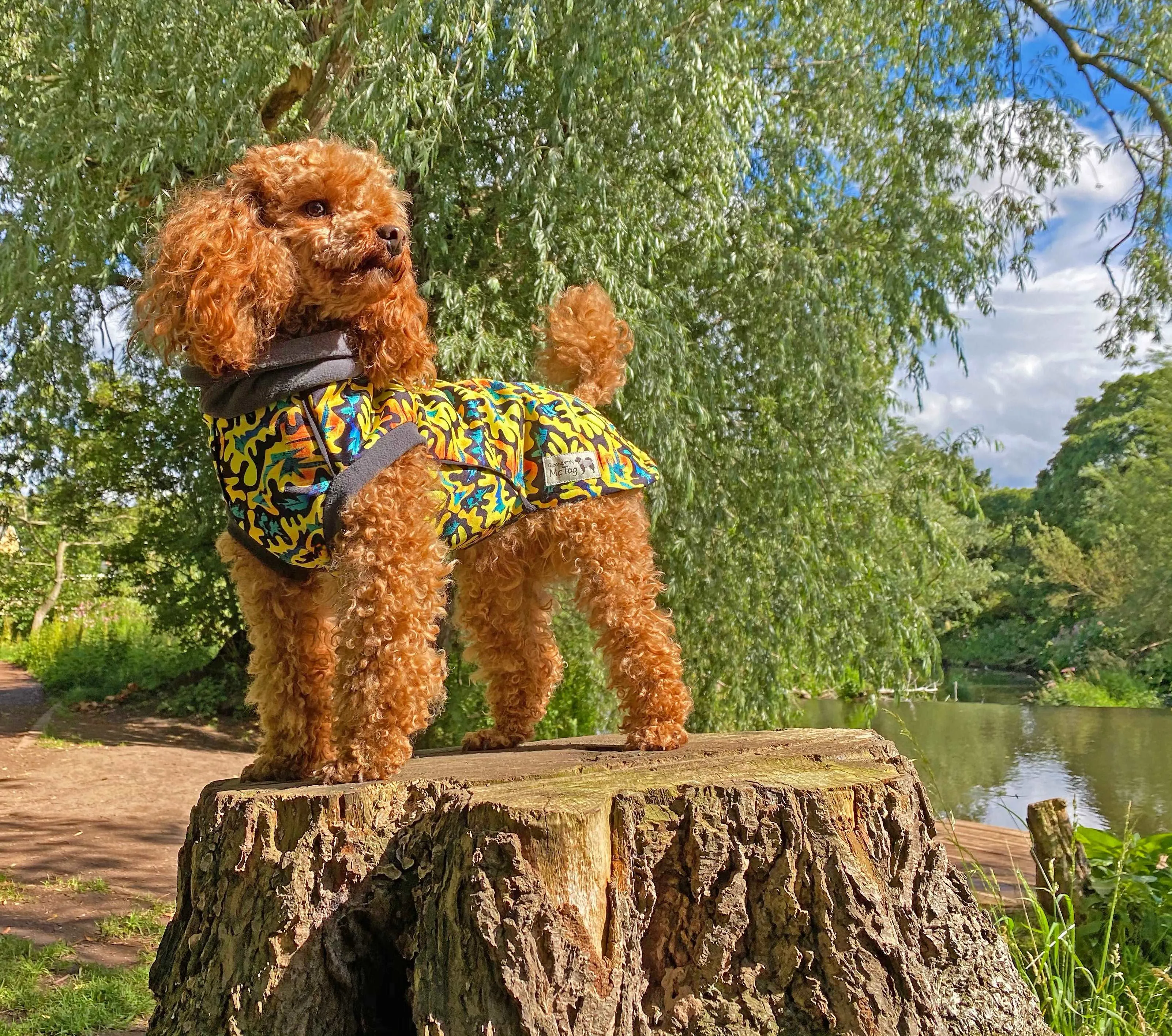 Zulu Waterproof Microfleece McTog Dog Jumper
