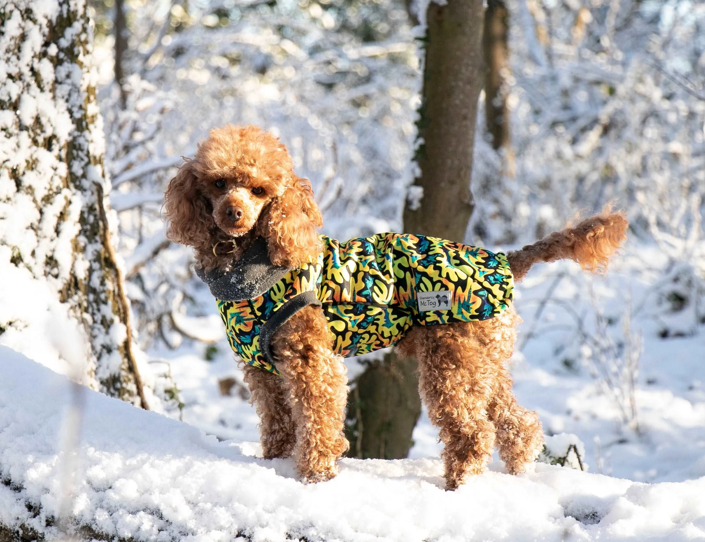 Zulu Waterproof Microfleece McTog Dog Jumper